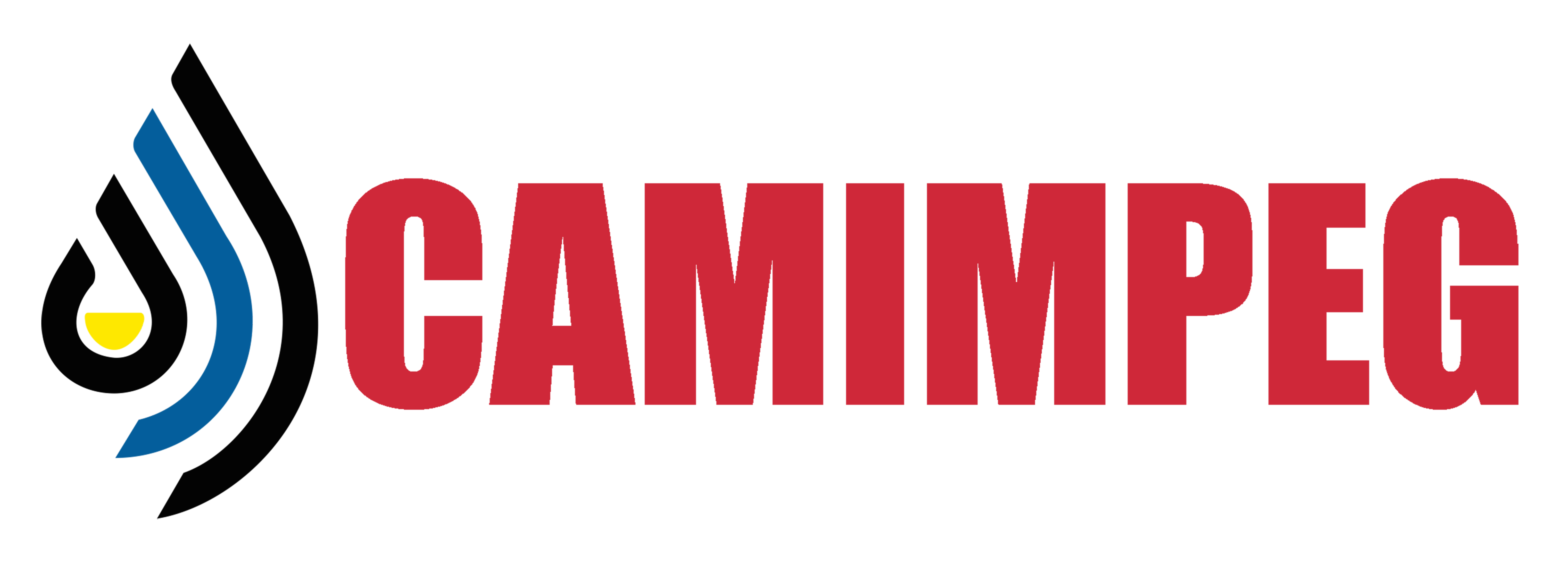 Logo de Camimpeg